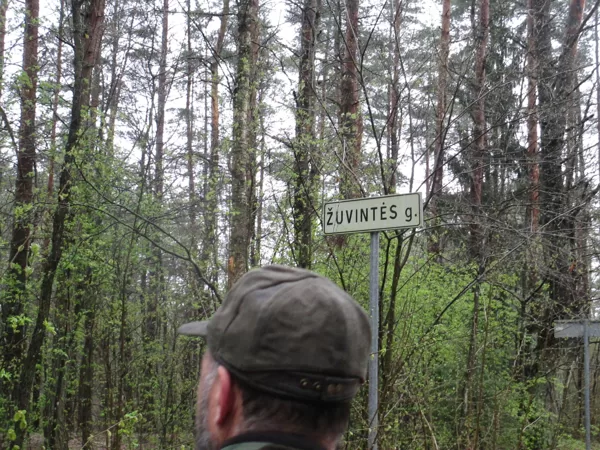 Gatvė vidury miško :)