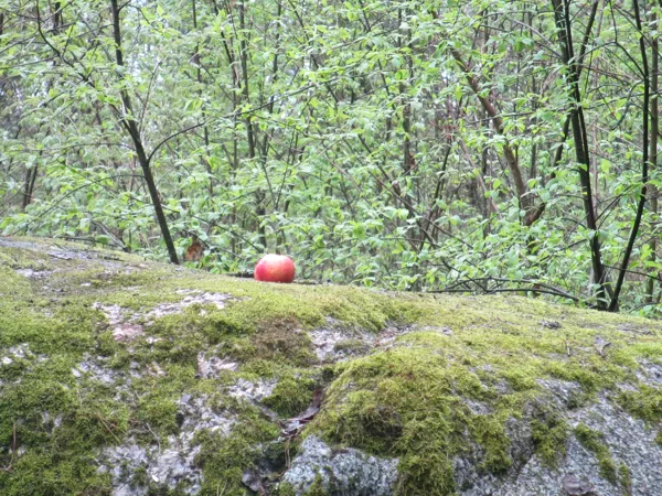 Senovėje Mokui buvo nešamos aukos. Kažkas iki šiol taip daro. Paaukojome džiūvėsėlį.
